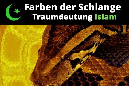 Islamische Bedeutung der Farbe einer Schlangenhaut in Träumen