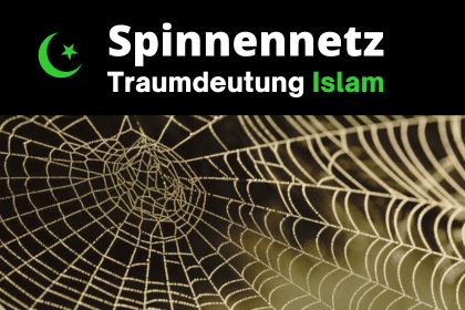 Spinnennetz im Traum Islam. Traumdeutung Islam Spinnennetz