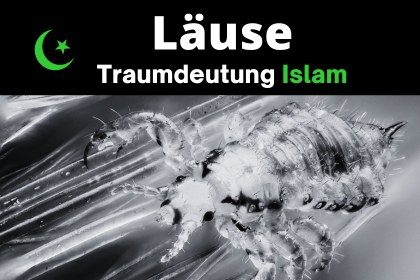Läuse Traumdeutung Islam. Islamische Bedeutung Läuse im traum.